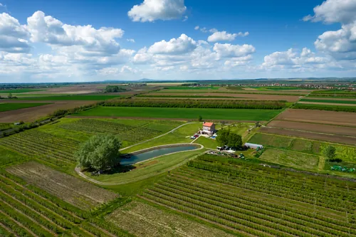 imanje-dron-07-kartica Dron pogled imanja Stipino jug