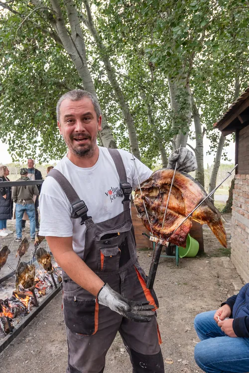 Stipe peče šarana