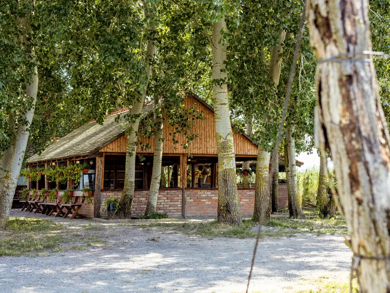 Team building — sjenica u sjeni drveća, OPG Stipino